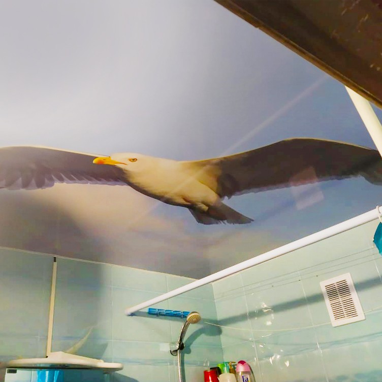 Потолки для ванной